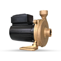 Bomba de Água Centrífuga Evvolution Bronze